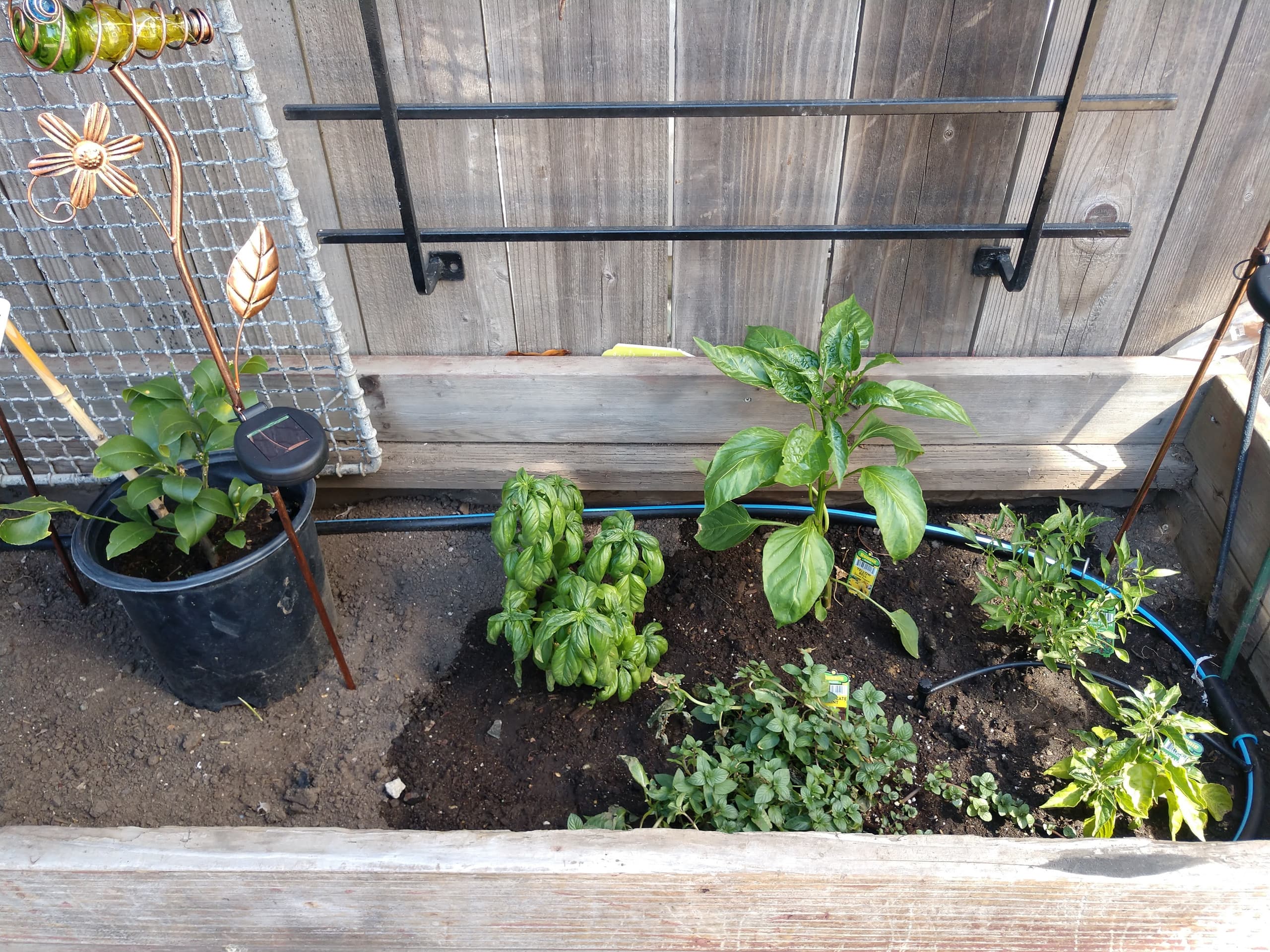 Sunnyside Bayview Heights Suite - Image 14