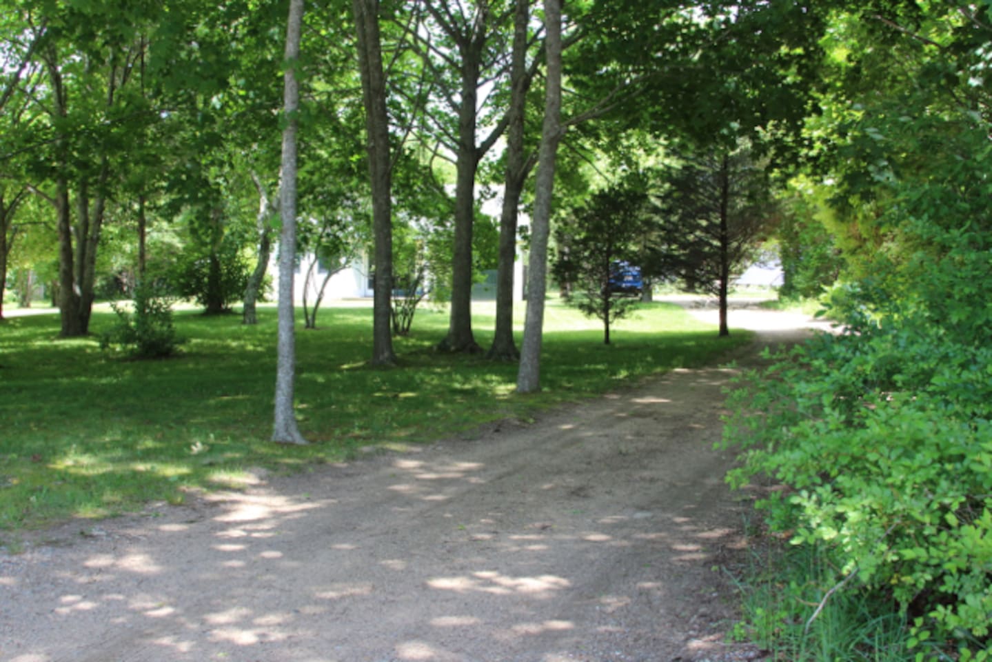 Image of Airbnb rental in Martha's Vineyard