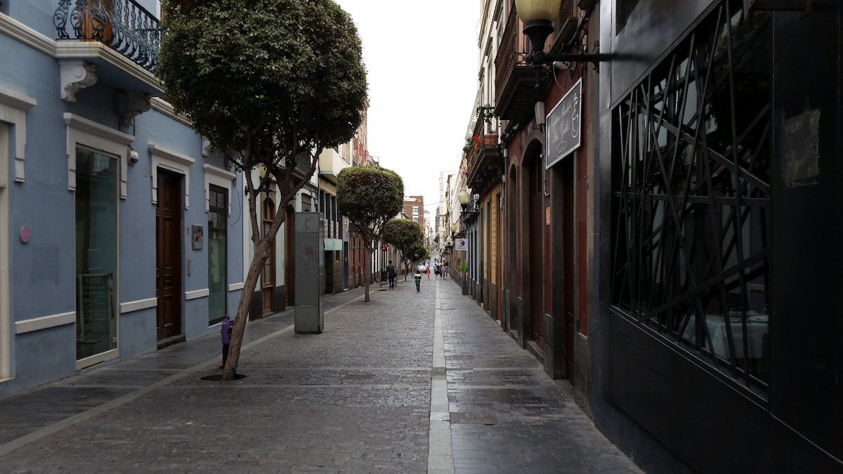 A quiet pedestrian street is lined with trees and historic buildings. Cobblestone pavement stretches down the center, while storefronts are visible on either side. Soft light filters through the overcast sky, creating a calm atmosphere in the heart of the city.