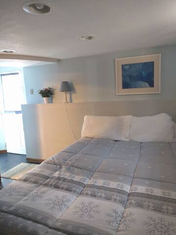 Cute Liberty Park private space! No cleaning fee!