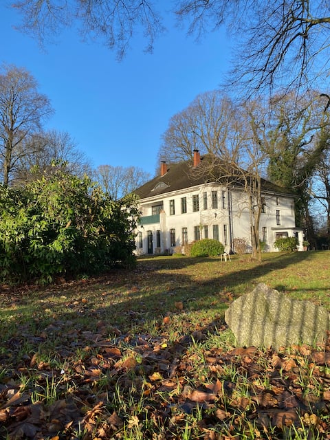 Stay in the villa in the park