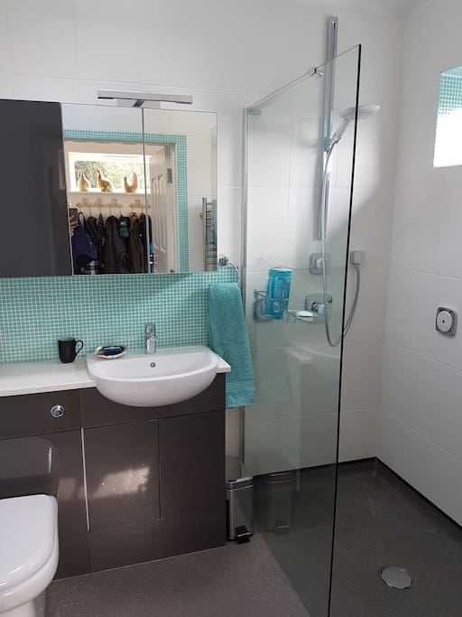 Modern en-suite shower room