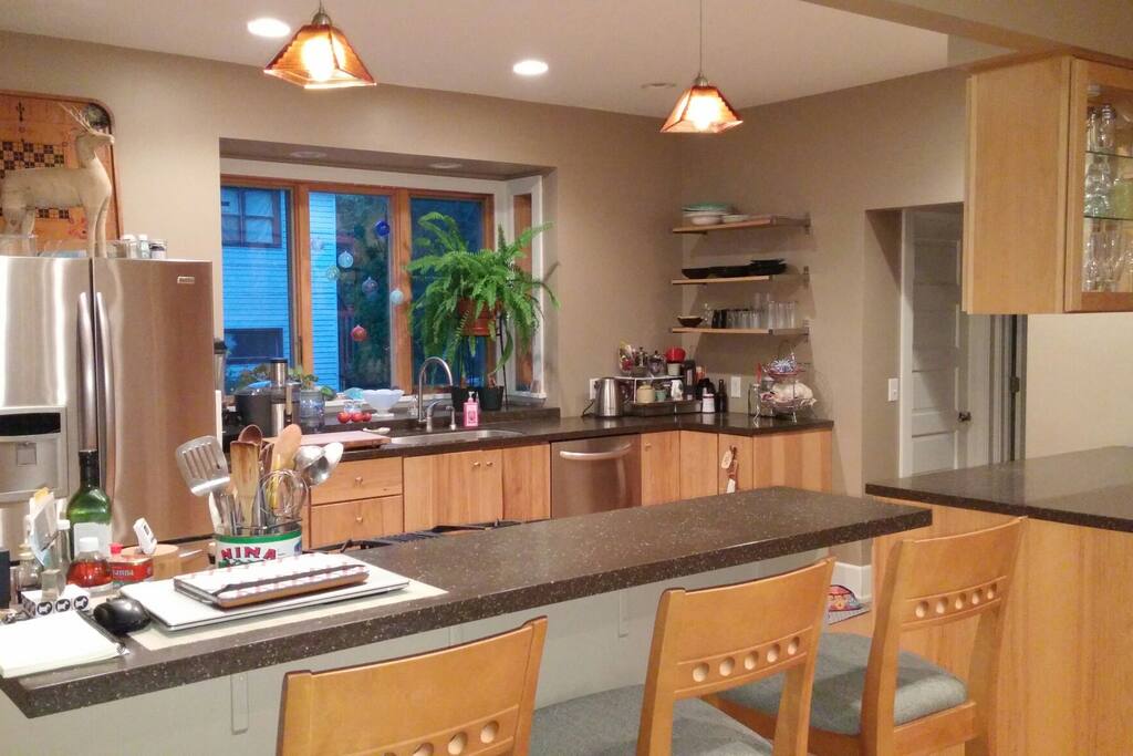 Gourmet kitchen with bar