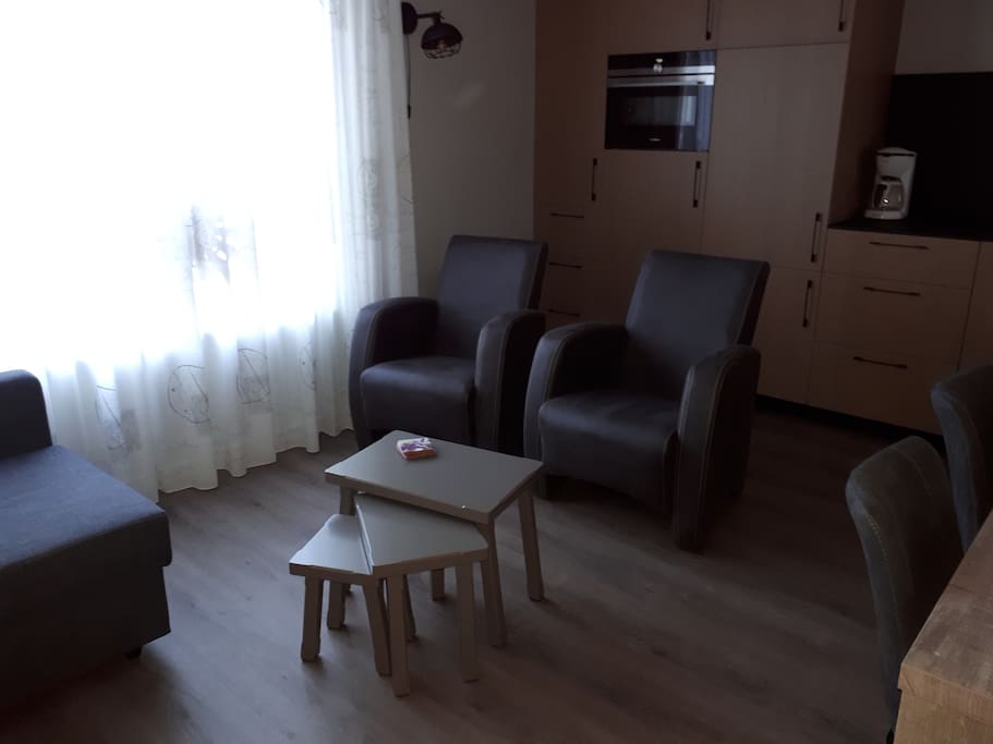 Gezellig woonkamer met comfortabele stoelen