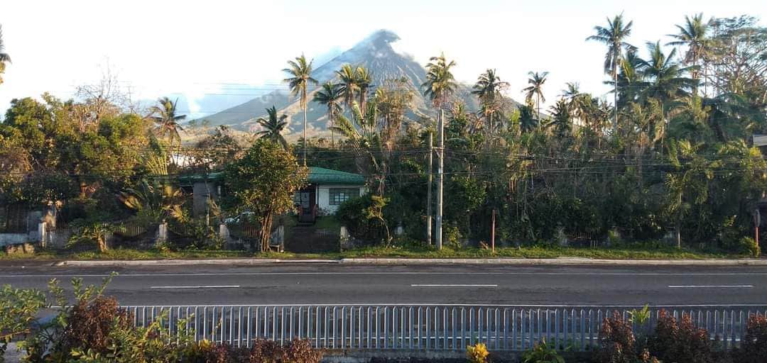 A view of the Mayon volcano rises in the background, framed by lush greenery and palm trees. A highway runs in the foreground, and a simple, welcoming building with a green roof is visible among the trees, enhancing the natural setting.