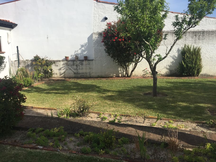 Petit jardin