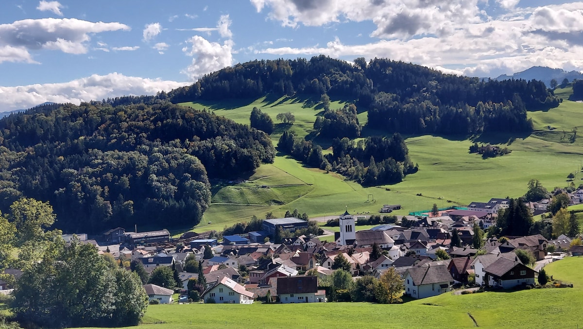 A panoramic view showcases a rural landscape with rolling green hills and clusters of houses nestled in the valley. A church tower rises in the center of the village, surrounded by trees and open fields under a bright blue sky with scattered clouds.