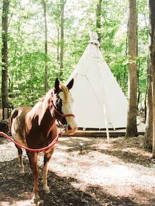 Upscale Camping in Authentic Tipi - Spirit Lodge