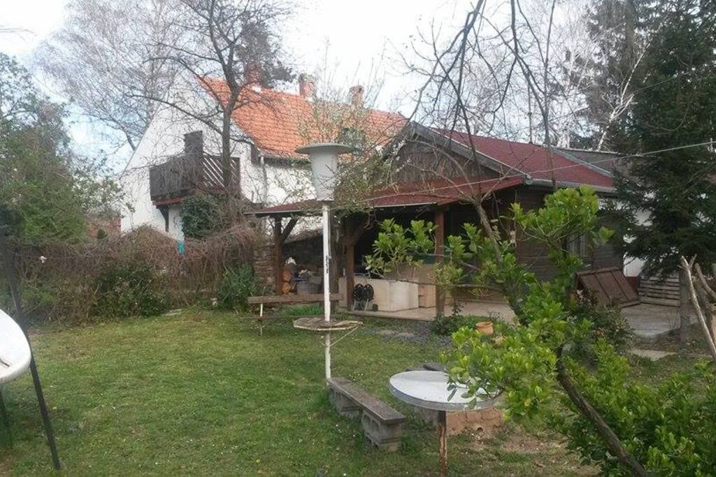 spring of 2015