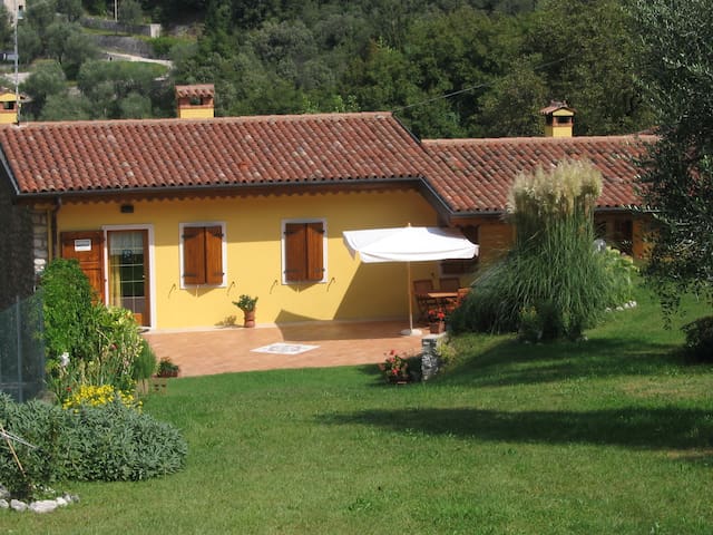 House with garden