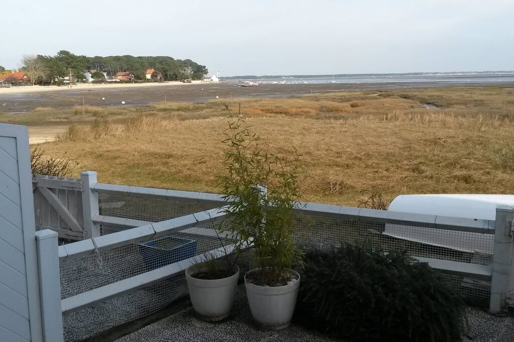 Vue sur le bassin