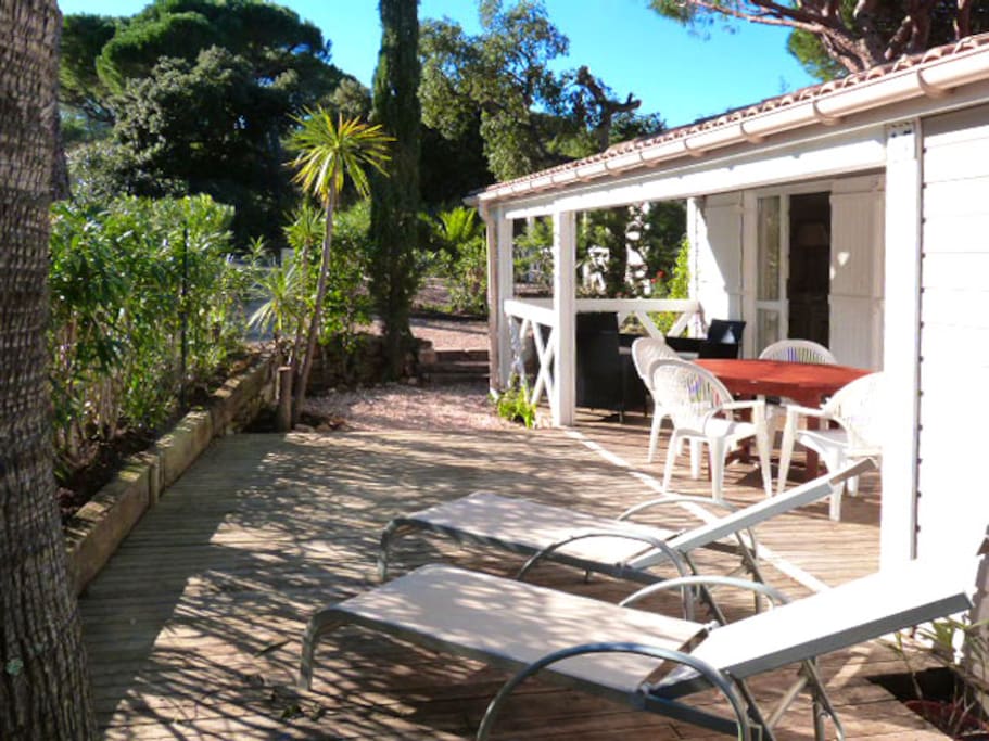 Terrace with sunbeds
