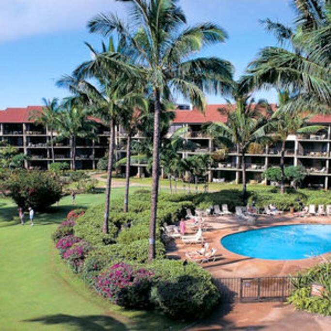 The pool with garden is a beautiful view of the units