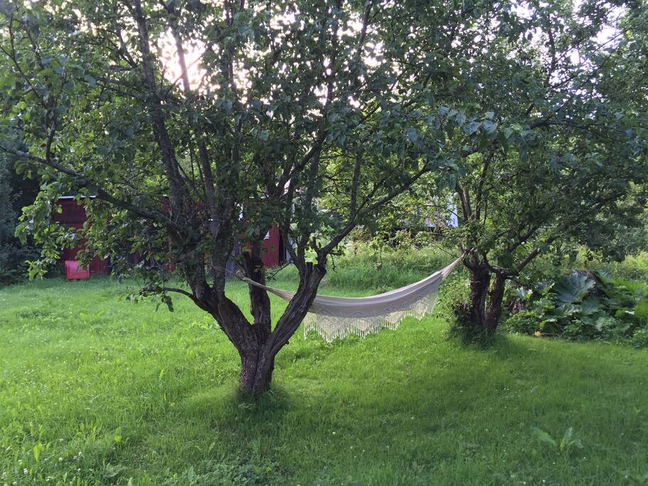 Trädgården