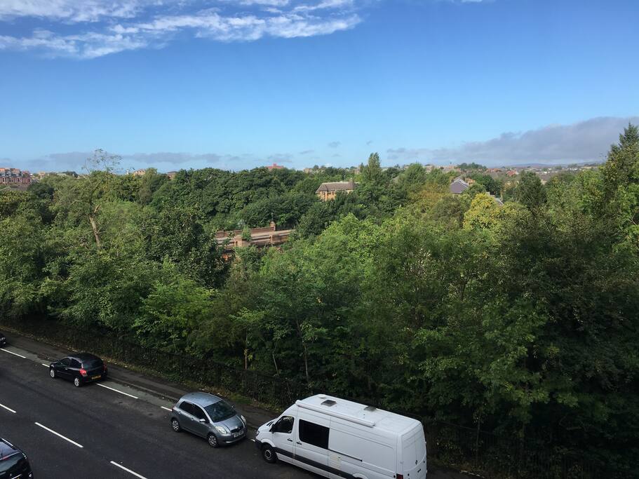 View across the Kelvin from the living room