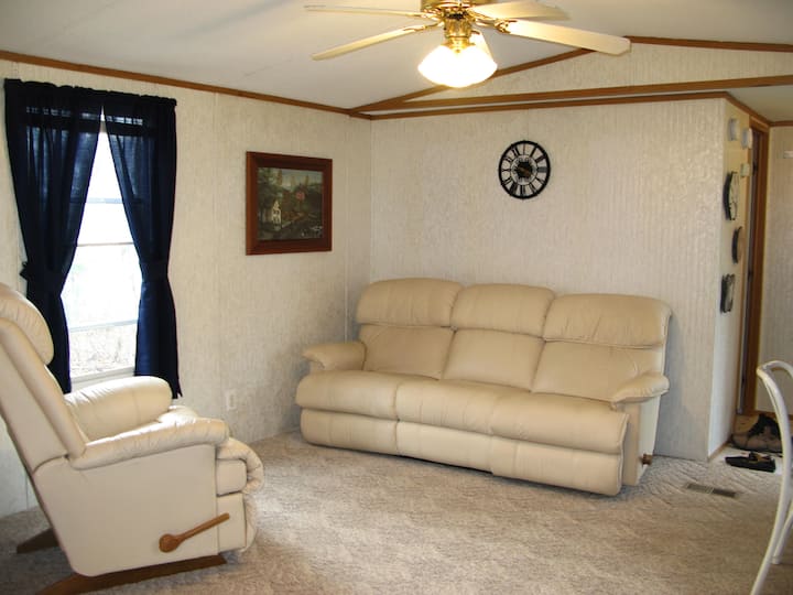 客厅配有皮革斜倚家具