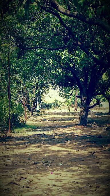 Open area