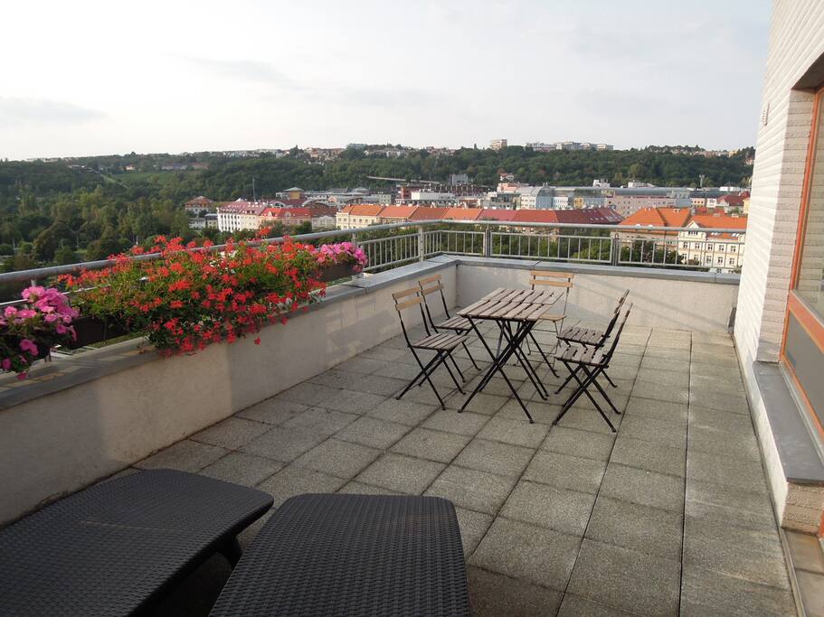 Terrace accessible from the living room