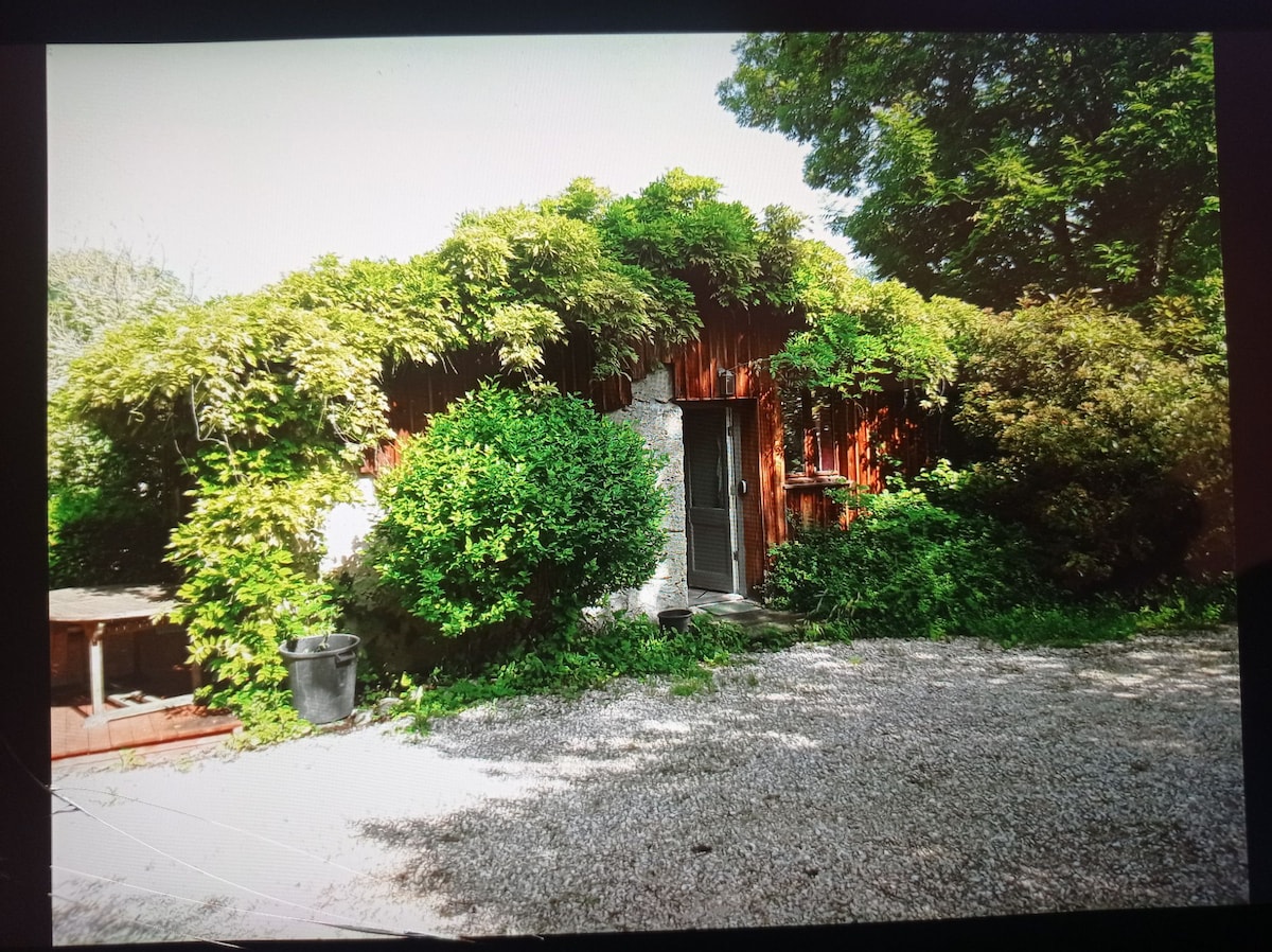 A charming wooden cottage is surrounded by lush greenery, with dense vines and shrubbery covering parts of the exterior. A gravel pathway leads to the inviting entrance, framed by well-maintained plants. The peaceful setting highlights the cottage's integration with nature.