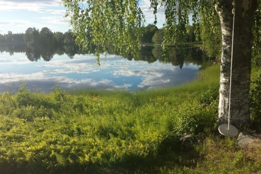 View to the lake