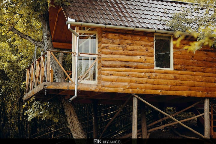 Transylvania Tree House Wifi Self Check In Treehouses For Rent In PeÈ™teana JudeÈ›ul Hunedoara Romania
