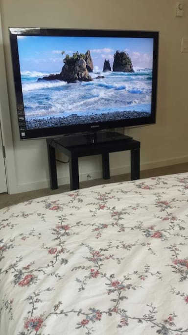 Amazon Fire TV