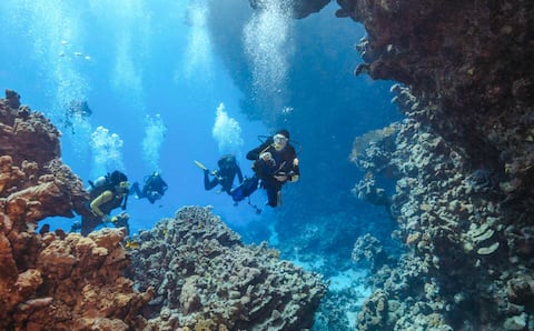 Experiencias únicas en San Juan