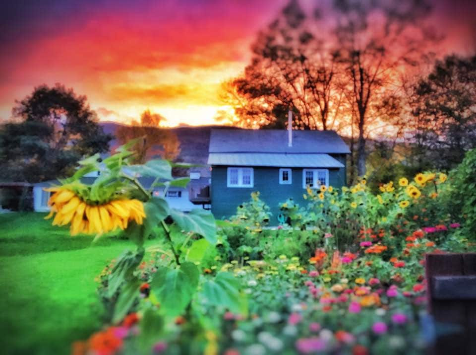 A vibrant garden is filled with blooming flowers, including sunflowers and zinnias, against the backdrop of a quaint green building. The sky is painted in warm hues of orange and purple as the sun sets, casting a serene glow on the landscape.