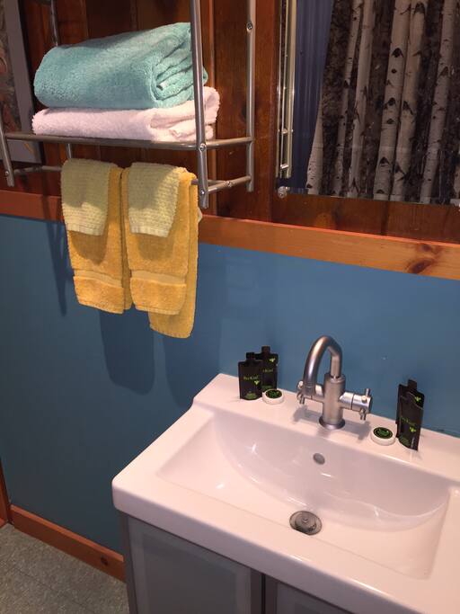 Bathroom detail in Suite 6B