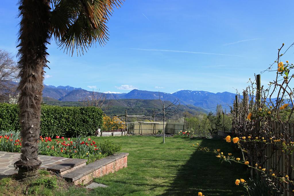 Garten im Frühling