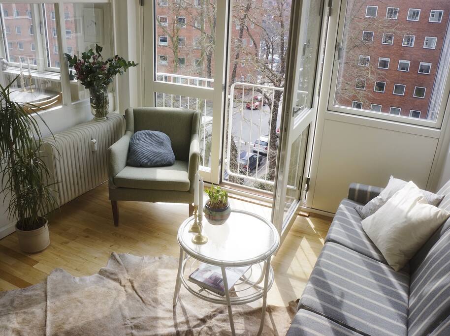 The bright living room with french balcony.