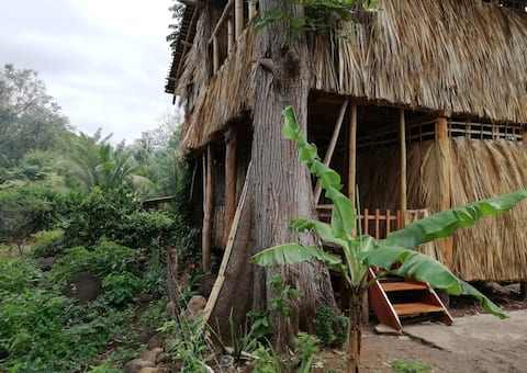 El Bamboo cabin
