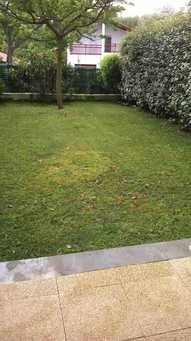 Vue sur le jardin depuis la terrasse