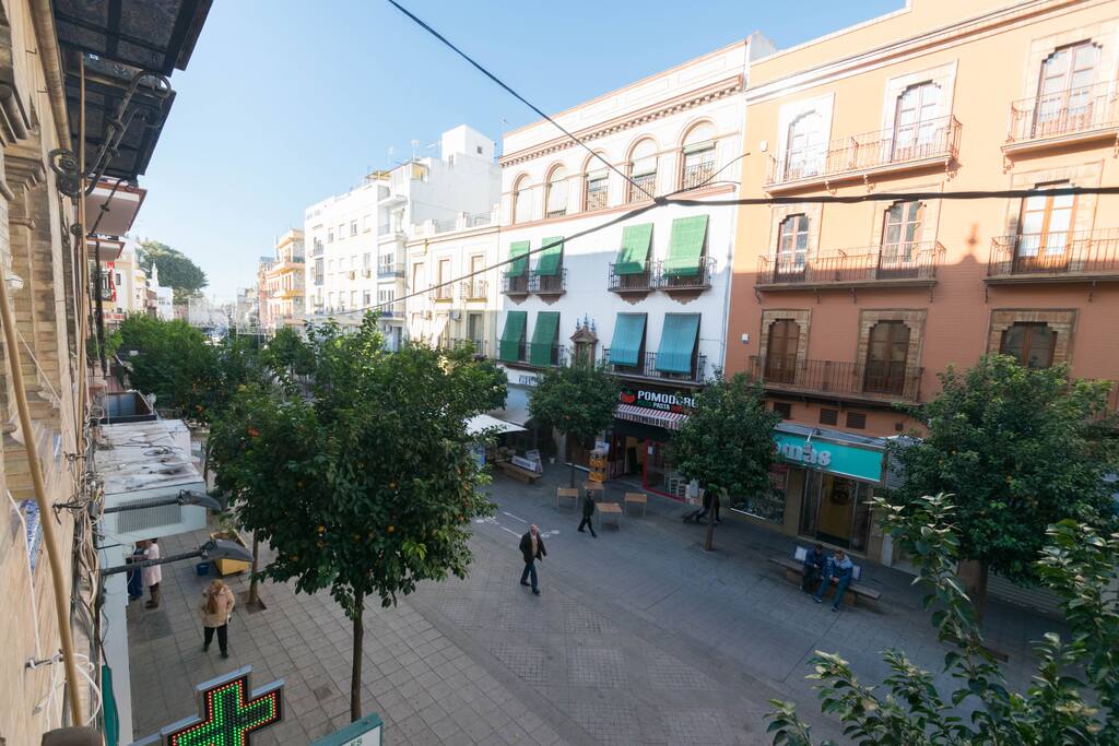 Vista calle