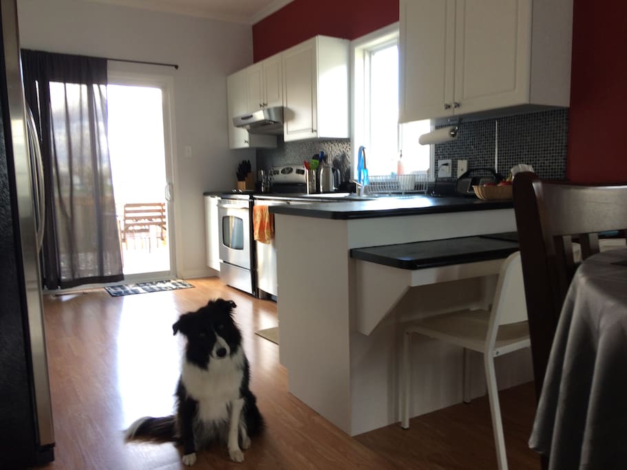 Kitchen and Tessa :)