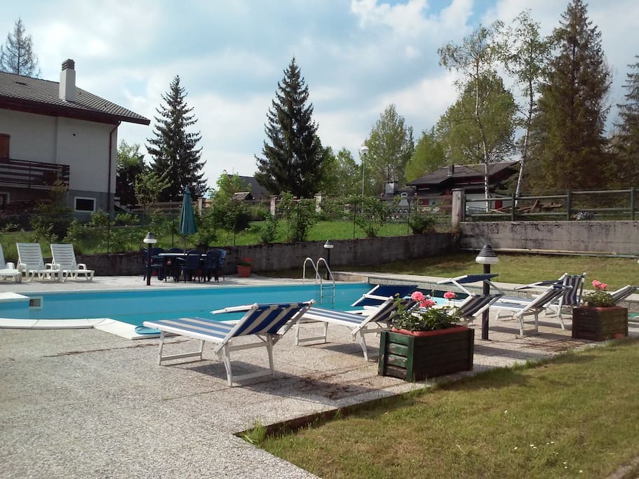 the swimming pool