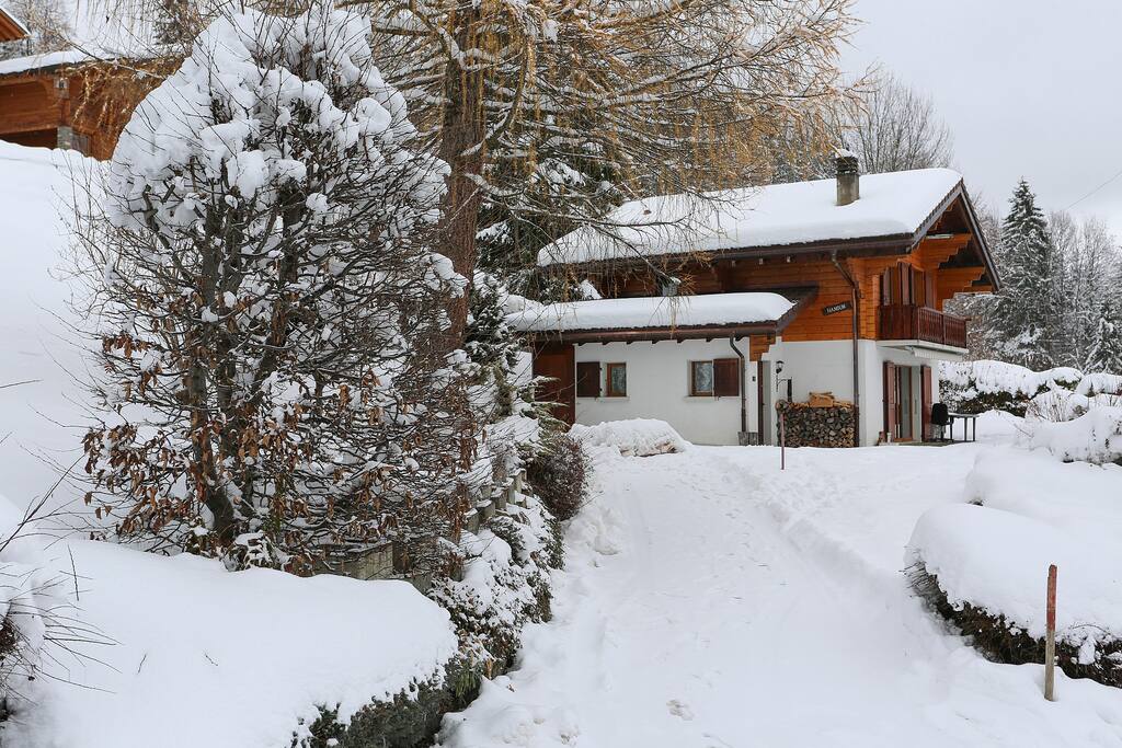 Parking spot for 2 cars right in front of the chalet