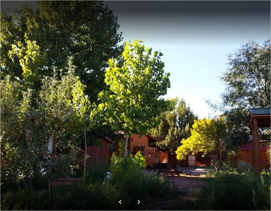 Bunkhouse area
