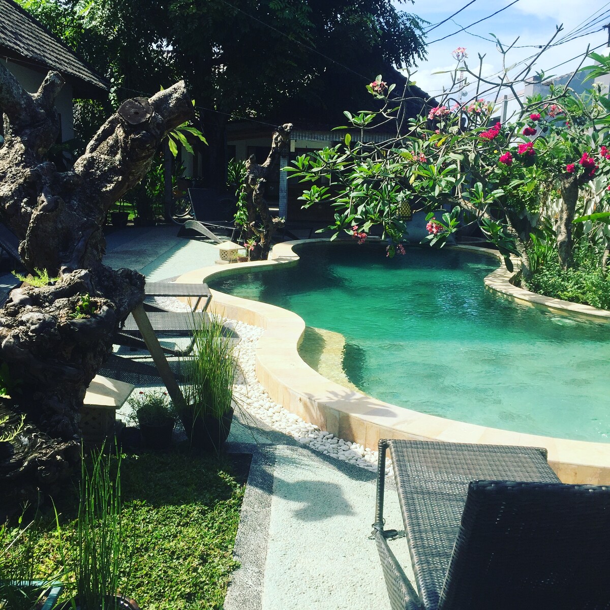 A serene swimming pool is surrounded by a lush garden featuring blooming flowers and tropical foliage. The pool's curved shape enhances the natural setting, with a light-colored stone border and a wooden deck area fitted with chairs for relaxation.