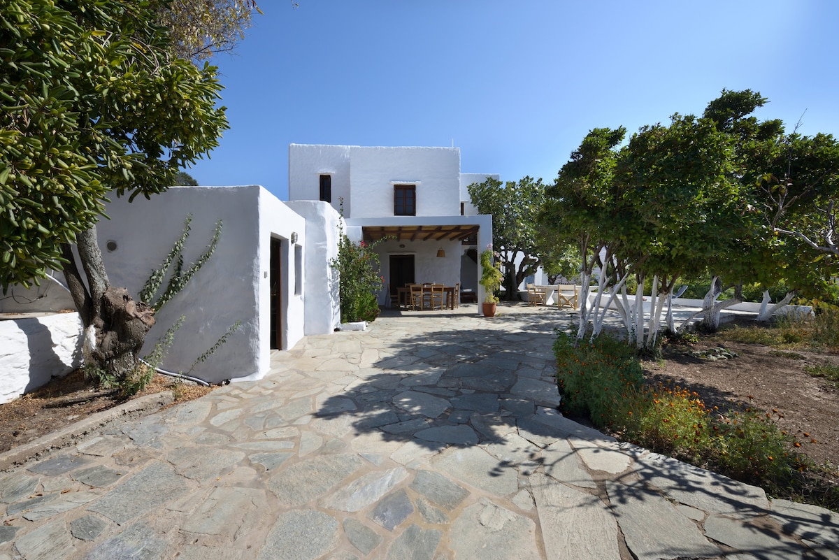 The entrance showcases a stone pathway leading to a white-walled building, characterized by a wooden-beamed porch. Outdoor dining furniture is visible beneath the shaded area, surrounded by trees and landscaped gardens, with clear blue skies overhead.