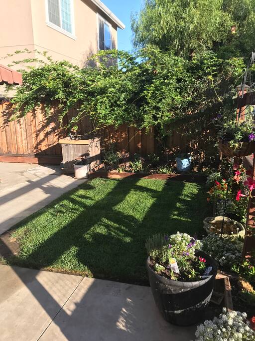 Private yard