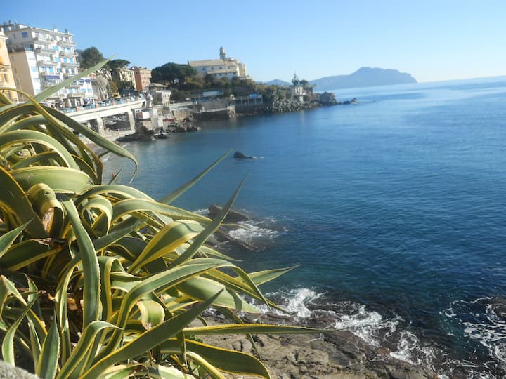 Nervi Италия