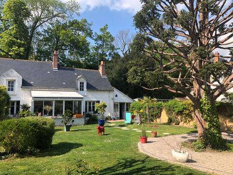 Typical house facing the Loire