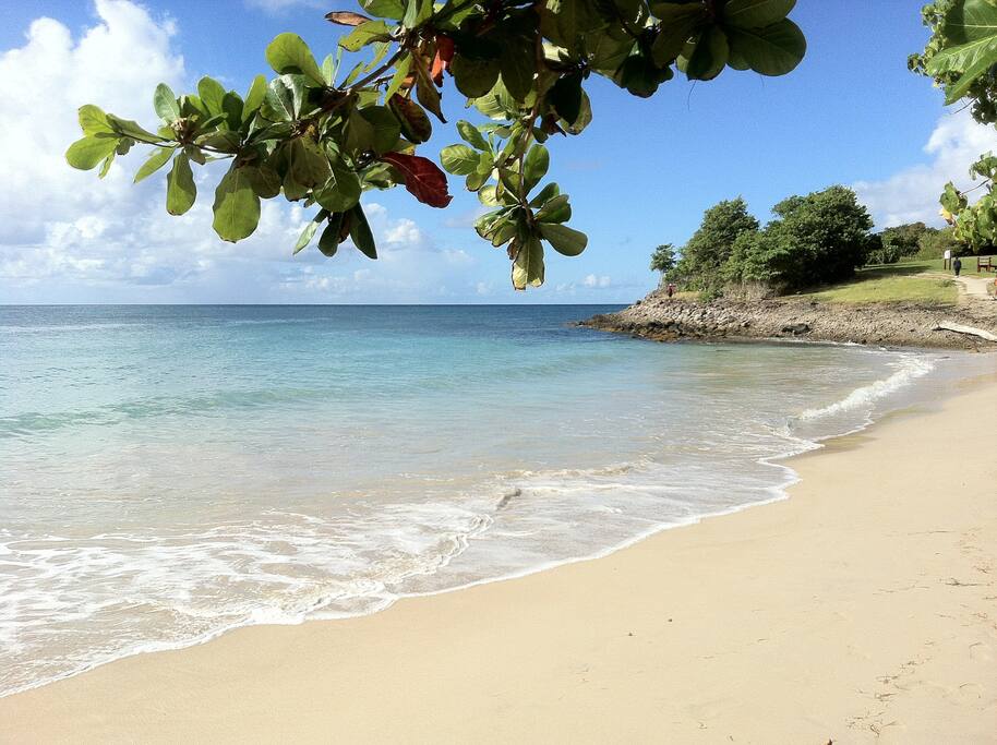 Petite plage à 5 mn à pied