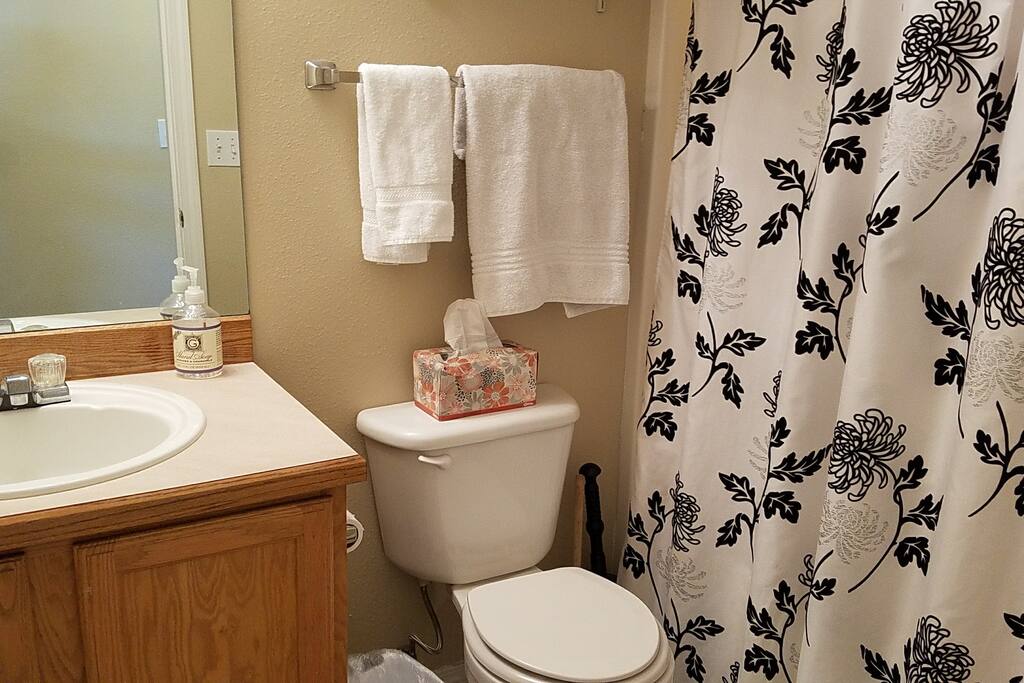 Guest Bath