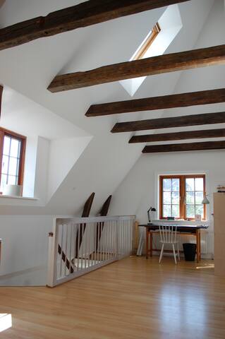 Close to the city – house & garden gallery image 4