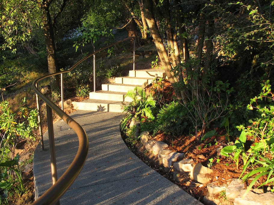 Morning light highlights part of the garden.