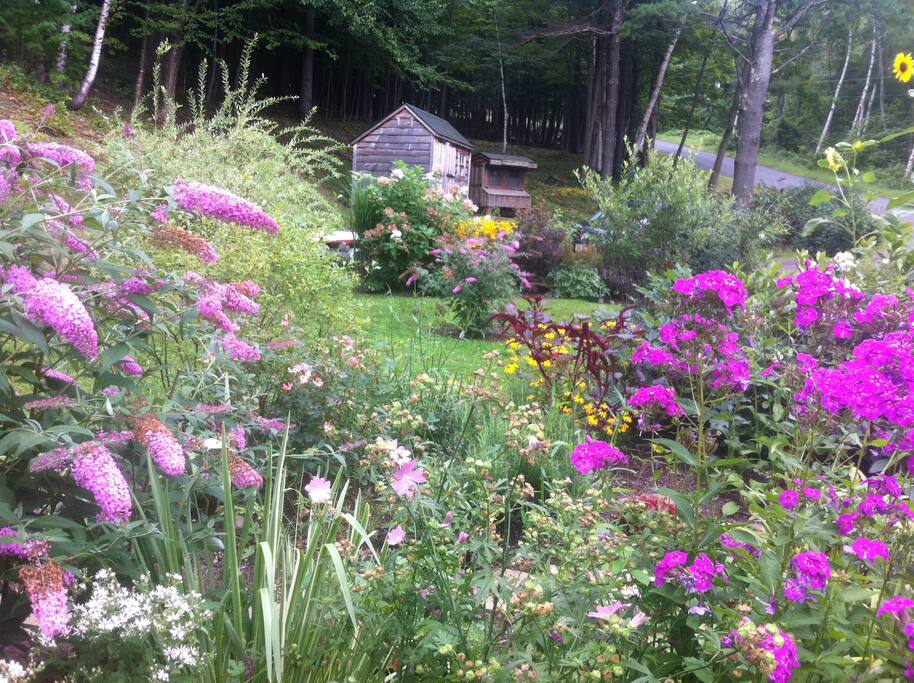 Summer Garden