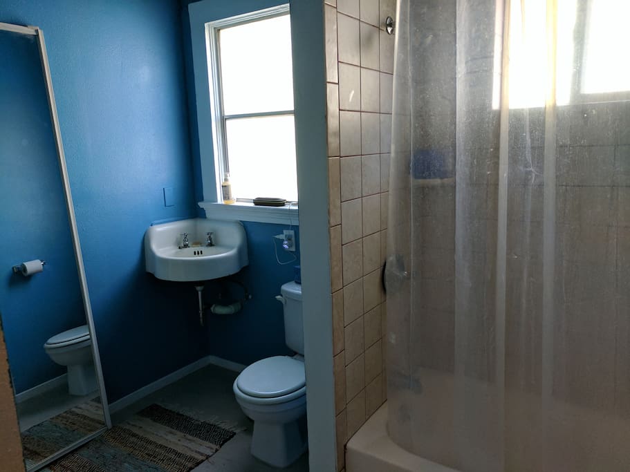 Large Bathroom
