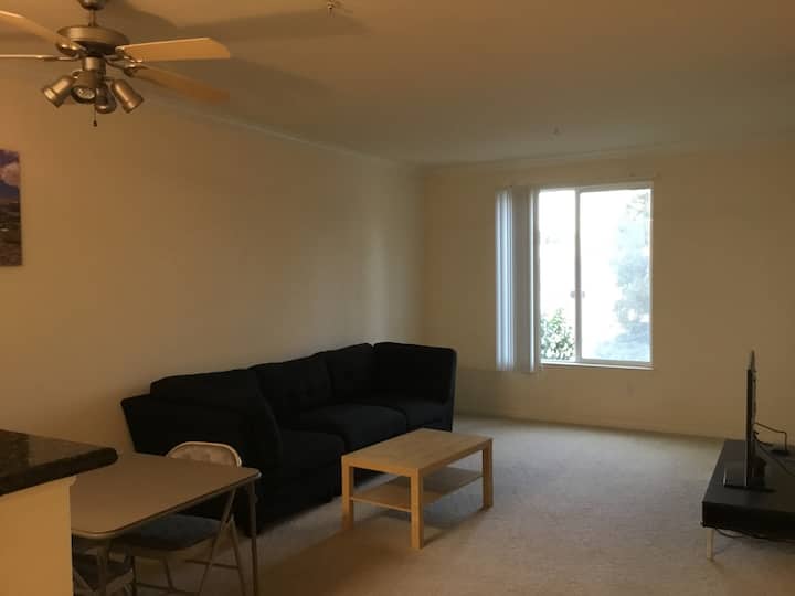 غرفة المعيشة